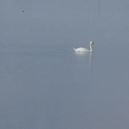 La Luce - Casa Di Ale B&B Loreo