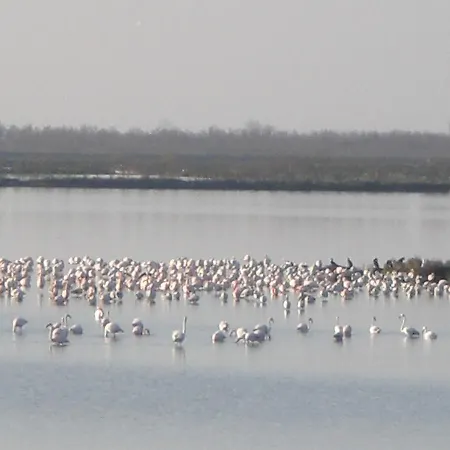 La Luce - Casa Di Ale