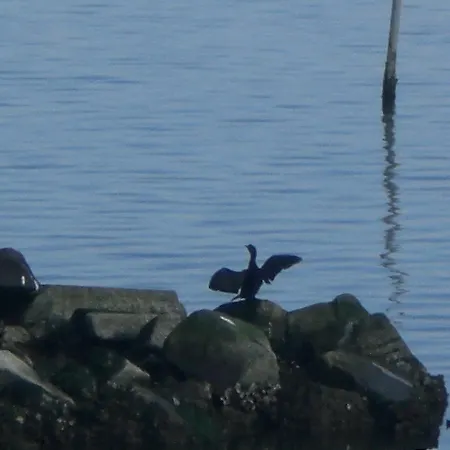 La Luce - Casa Di Ale Nocleg ze śniadaniem Loreo