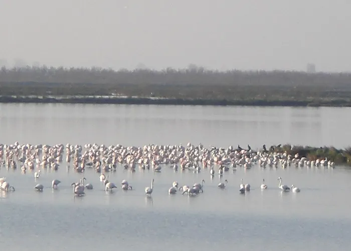 La Luce - Casa Di Ale