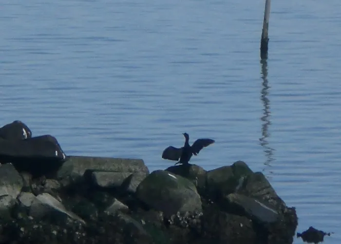 La Luce - Casa Di Ale Bed and breakfast Loreo